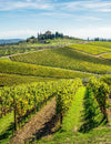 Italian Wines from the Chianti Region | Castello di Poppiano Wines