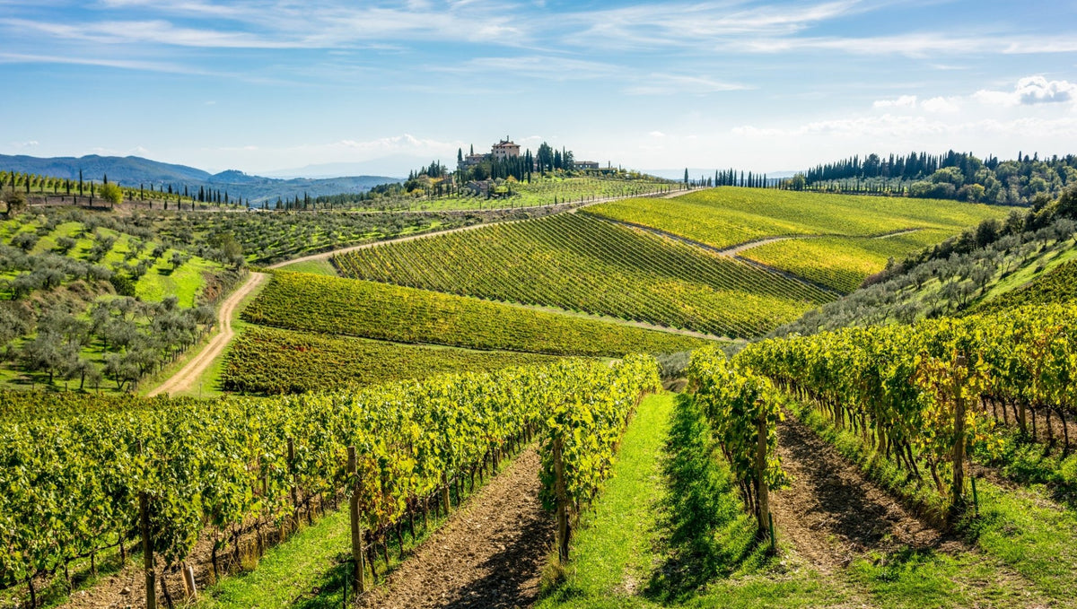 Italian Wines from the Chianti Region | Castello di Poppiano Wines