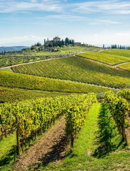 Italian Wines from the Chianti Region | Castello di Poppiano Wines