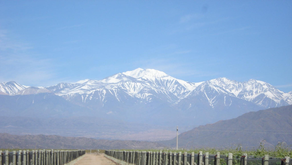 Mendoza, Argentina: History of the Region and the Famiglia Meschini Winery