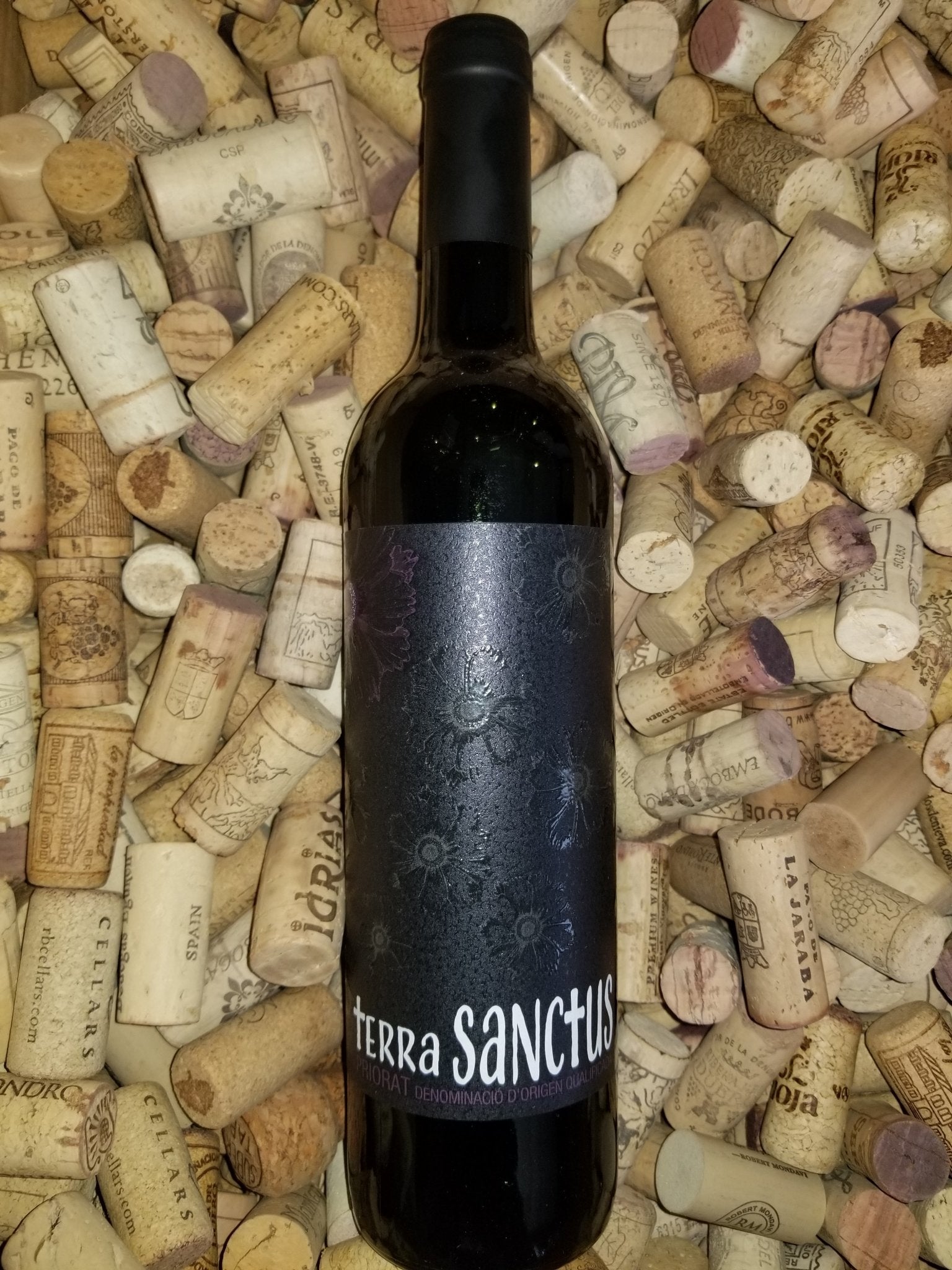Terra Sanctus CLOS LA RAE 2014 Priorat Spain - Garland Wines