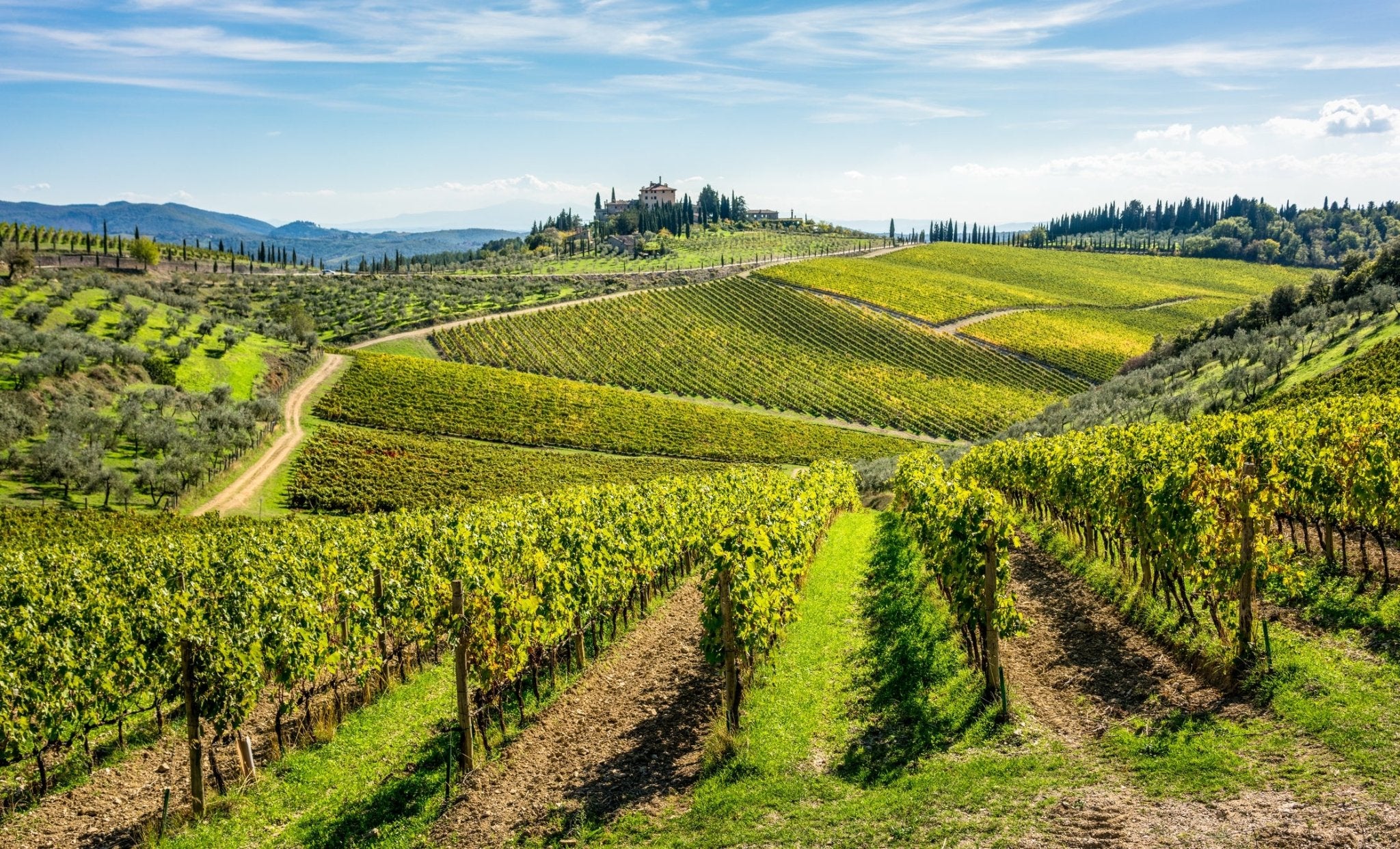 Italian Wines from the Chianti Region | Castello di Poppiano Wines