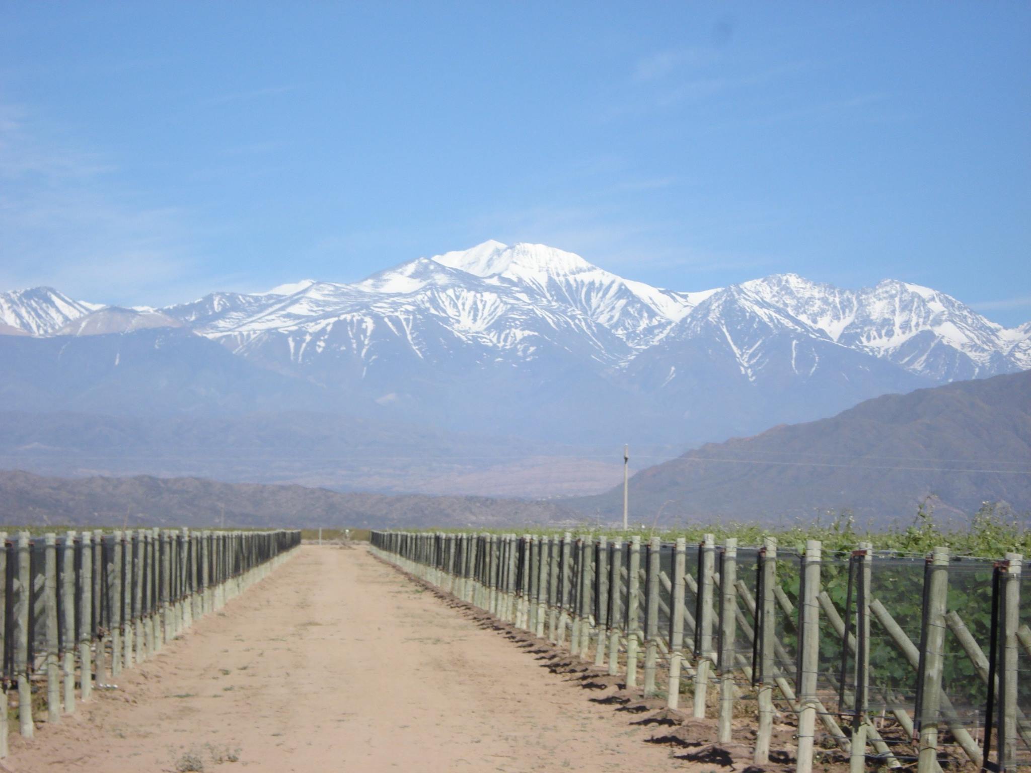 Mendoza, Argentina: History of the Region and the Famiglia Meschini Winery